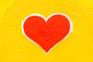 a heart for elevation