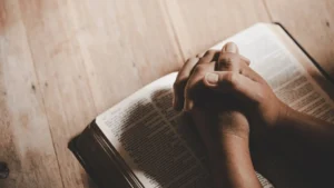 Bible 1 lwsoptimized