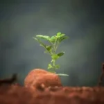Intentional Spiritual Growth For End-time Ministers 2