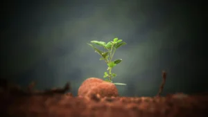 Intentional Spiritual Growth For End-time Ministers 2