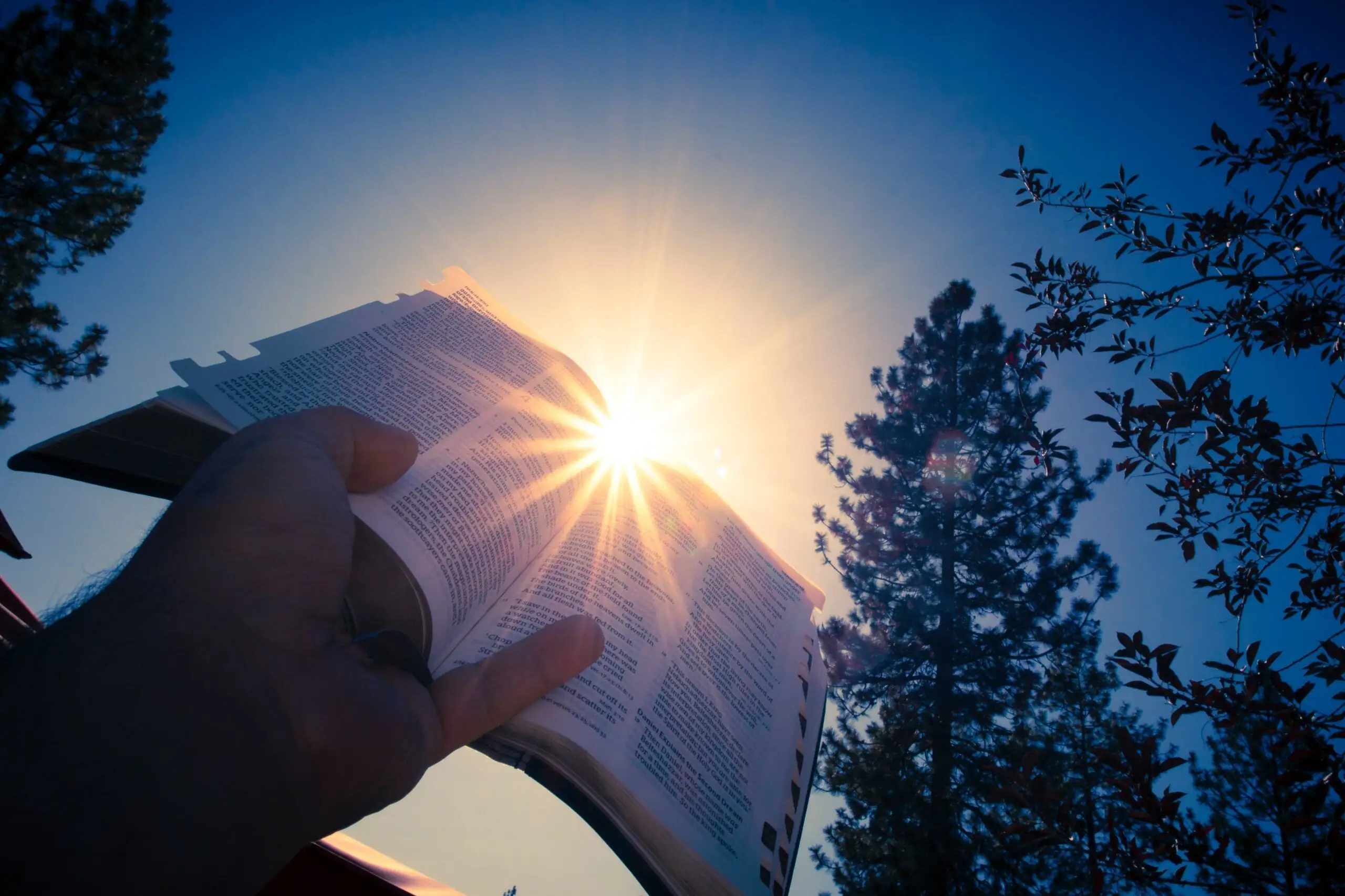Revelation (Benefits of Walking with God 1)