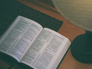 Deploy Vision Through Diligence