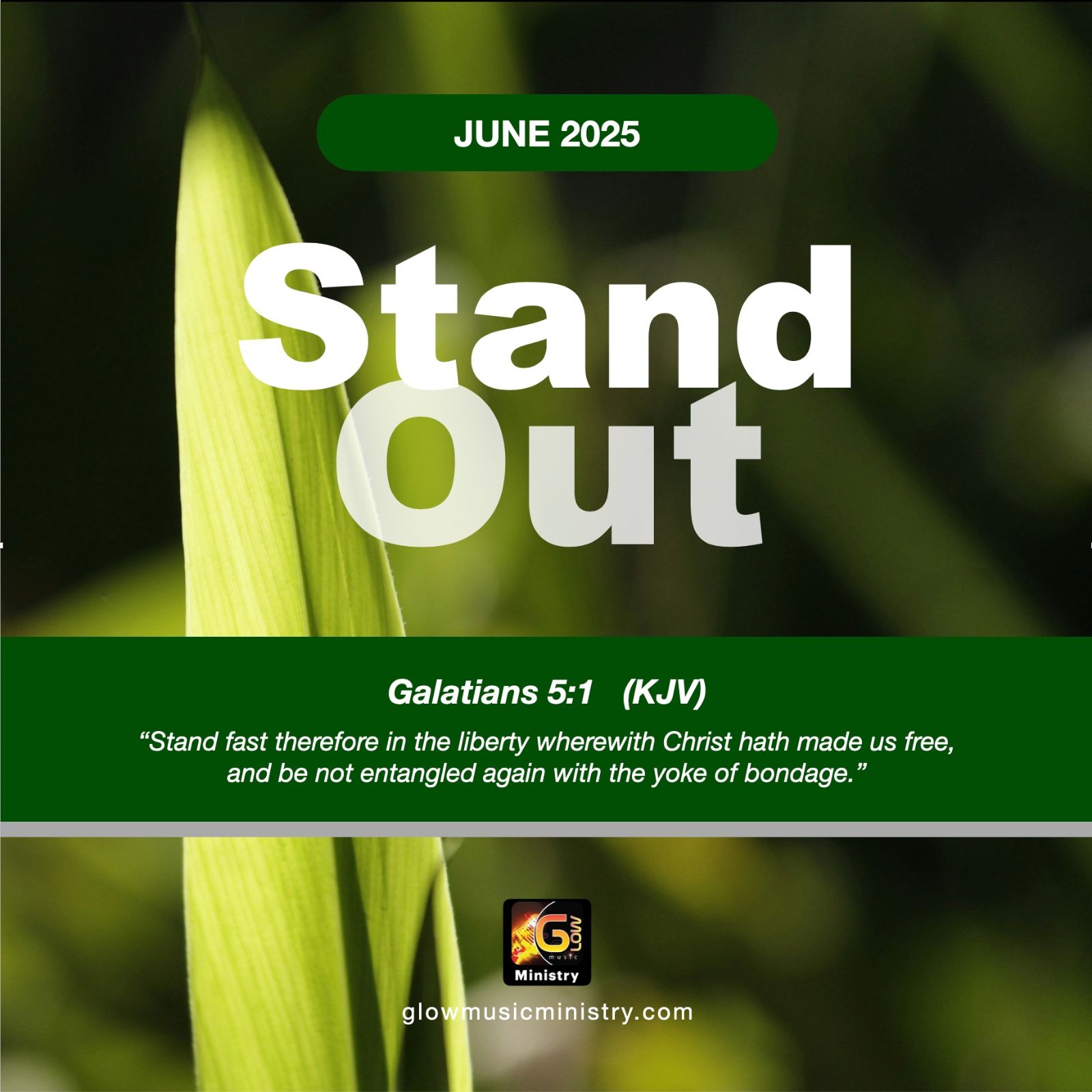 STAND OUT