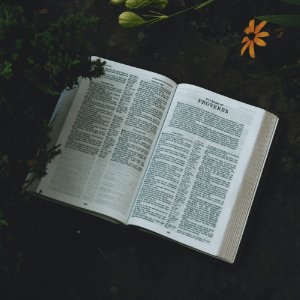 BENEFITS AND ENEMIES OF TRUST FOR GLORY