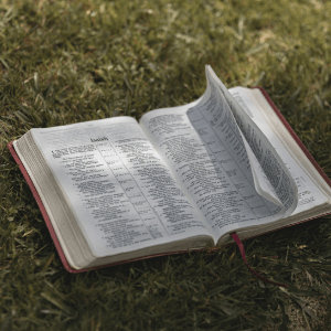 BENEFITS OF TRUSTING GOD FOR FAVOR
