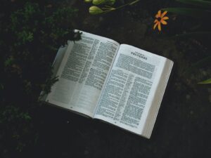 BENEFITS AND ENEMIES OF TRUST FOR GLORY