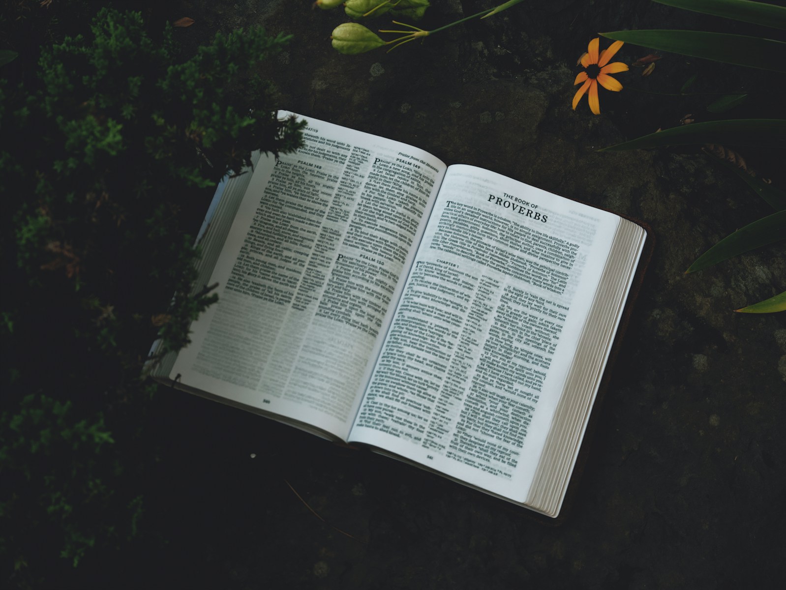 BENEFITS AND ENEMIES OF TRUST FOR GLORY