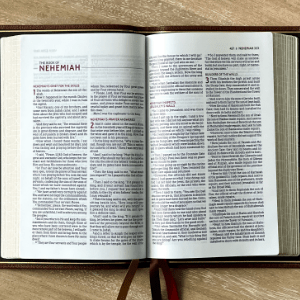 JESUS COMFORTS THROUGH HIS WORD