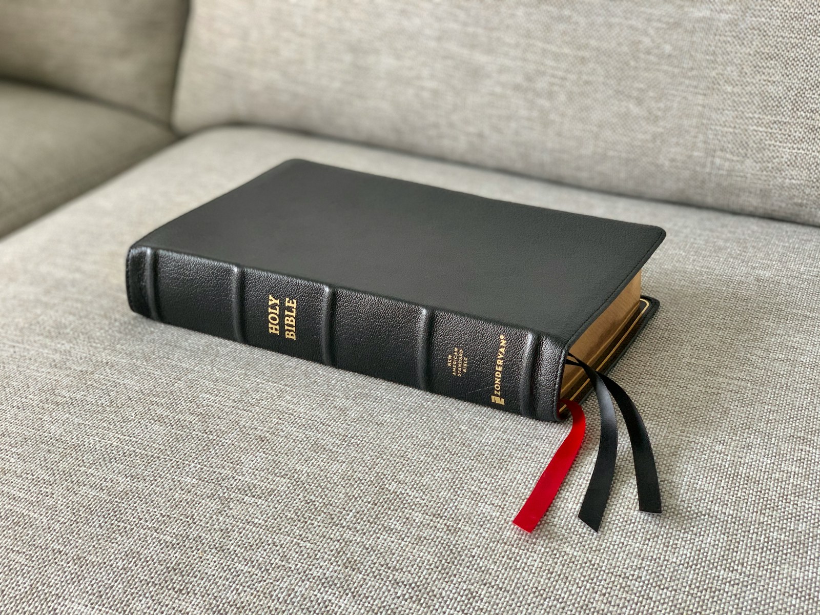 Jesus, Our Comforter In Trials