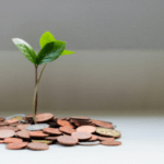 Thanksgiving For Divine Increase