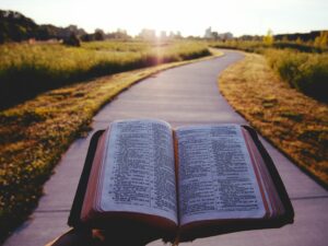FAVOUR THAT KEEPS US STEADY